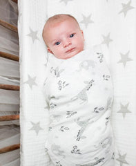 Lulujo - Afrique Cotton Swaddle - Mi Bebe Market